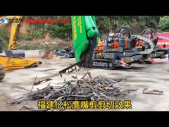 Tijeras de pico de águila